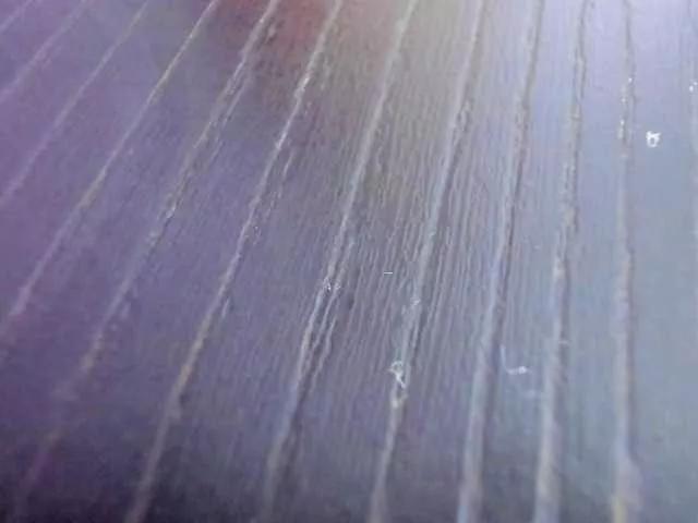 Offline AbbyJhonsS on BongaCams