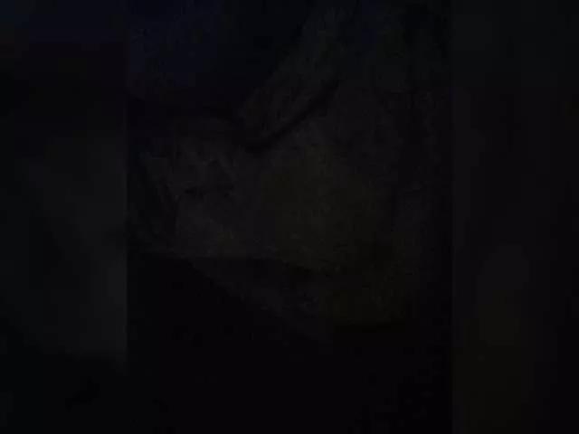 BelSed on BongaCams 