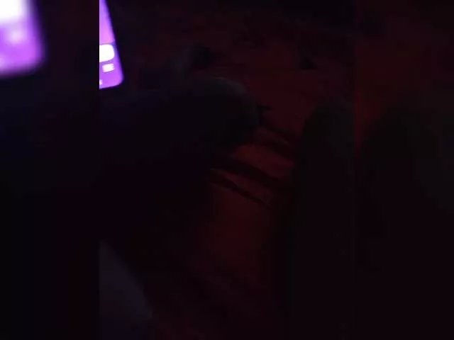 Offline Bestydnikia on BongaCams