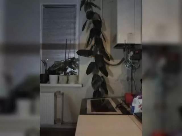 Offline betruetoyourheart on BongaCams