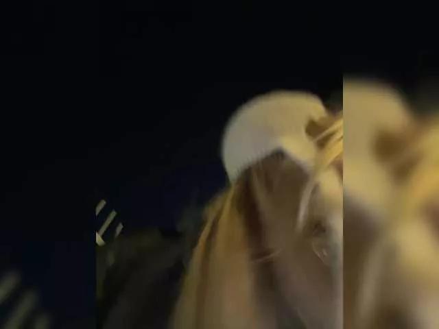 Offline elegantbabe on BongaCams