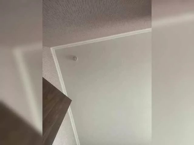 Offline LynnMonica on BongaCams