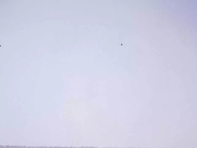 Offline MariStorm on BongaCams