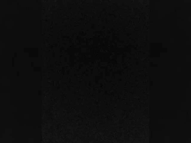 NERII11 on BongaCams 