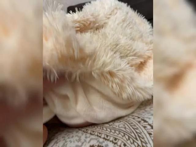 Neznost on BongaCams 