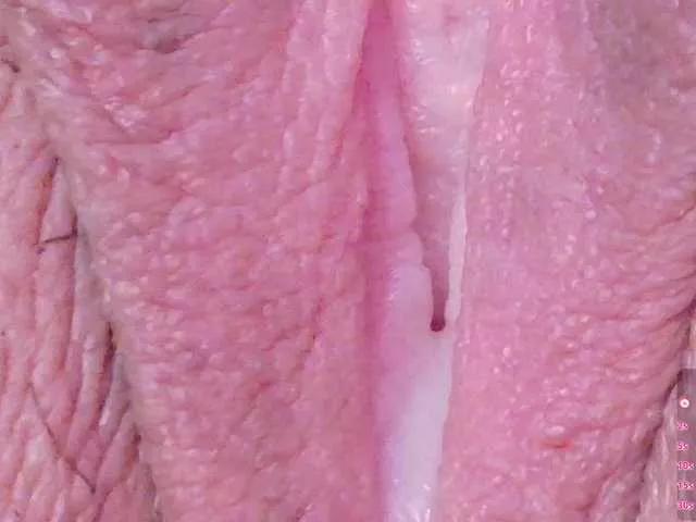 orchide-kitty on BongaCams