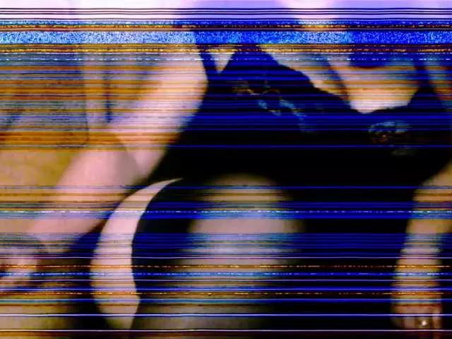 Offline reis245 on BongaCams