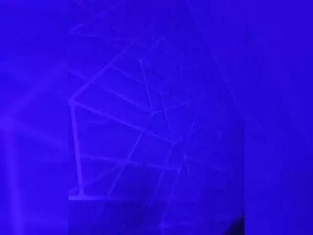 Offline SexyMouse1 on BongaCams