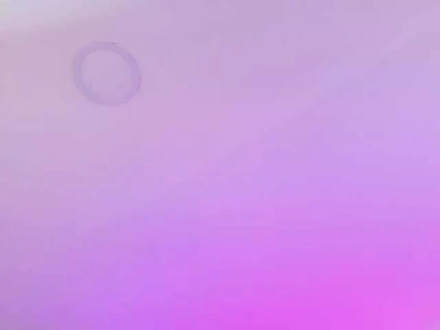 Offline SophieCarther on BongaCams