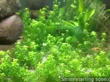 Freechat booker_baxton on Chaturbate