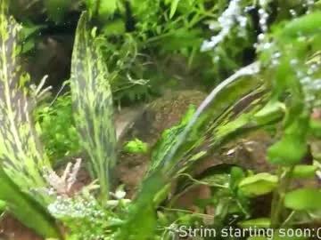 booker_baxton from Chaturbate