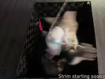 Freechat booker_baxton on Chaturbate