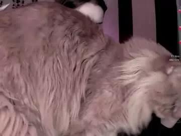 cherry_elfcat on Chaturbate