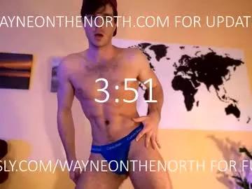 Group waynenorth on Chaturbate