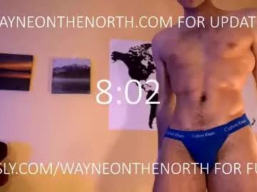 Group waynenorth on Chaturbate