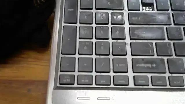 AddictiveAssCurves on StripChat 