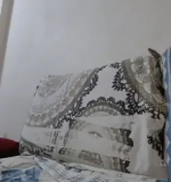 Freechat baby_jannat on StripChat