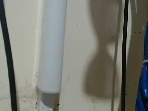 StripChat Charming_lexi is Freechat Charming_lexi — Surprise me!