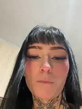 dulce-katt