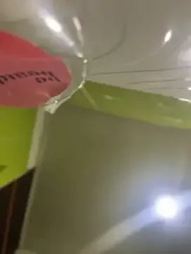 Emiily_lee — anal plug