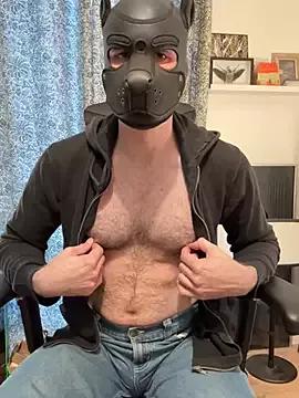 FrenchCamDog on StripChat