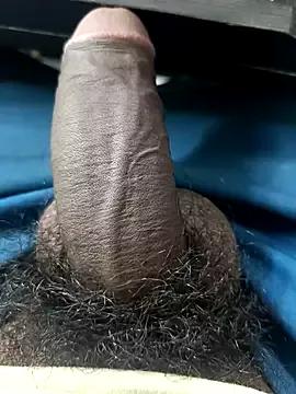 Freechat FriskyGender on StripChat