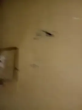 StripChat honeypot224 is Freechat honeypot224 — Anal