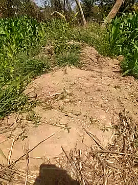 imasanju — My pusy