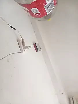 IncanCascades