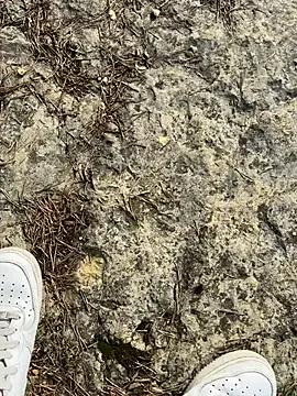 Freechat Manu97k on StripChat