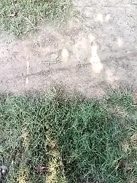 Explore sweet model Mehta_seema Mehta_seema from StripChat