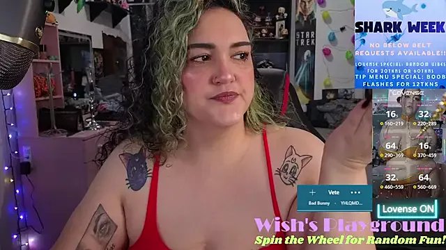 Freechat nevermakeawish on StripChat