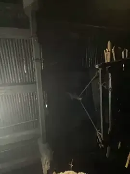 Nika--Nika — mc tiu c sn