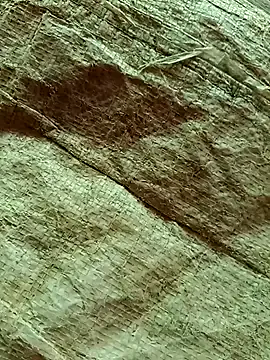 sc RASIYAN_RANI is f RASIYAN_RANI — My house dream