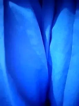 Sanaya_009 from StripChat