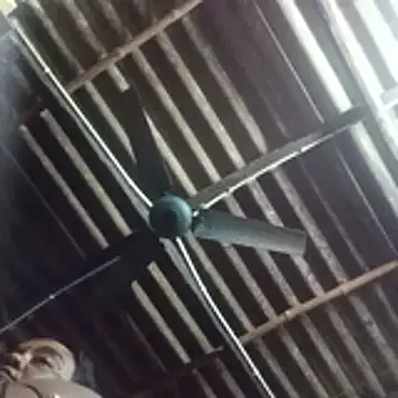 senguptadiya248 — Freechat on StripChat