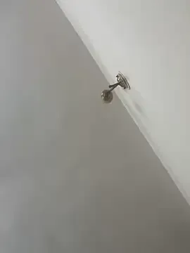 StripChat Snehameoww@xh is Freechat Snehameoww@xh — Massage boobs with lotion