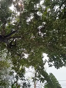 SofiaMurr — make me wet 