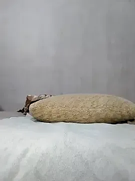 Stallion100 — Cum Show