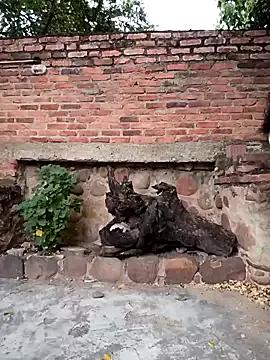 Naked sweet_outdoor_charm from StripChat sweet_outdoor_charm from StripChat