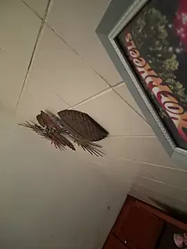 sc Valentinacouple is f Valentinacouple — 200