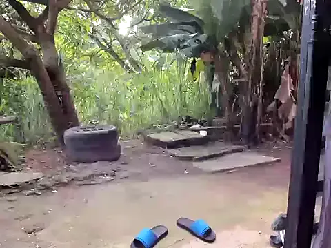 venusandzeus@xh on StripChat